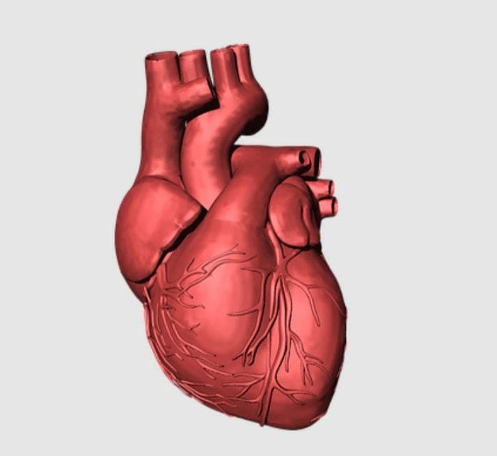 ColorMind01's tweet image. #SabiasQue...

La potencia generada al día por un corazón bastaría para mover un coche durante 32 kilómetros.

#curiosidades #datocurioso #breakng #news