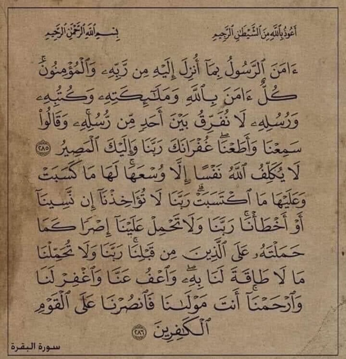 لعلها تشفع لي 🤲🏻🤍
