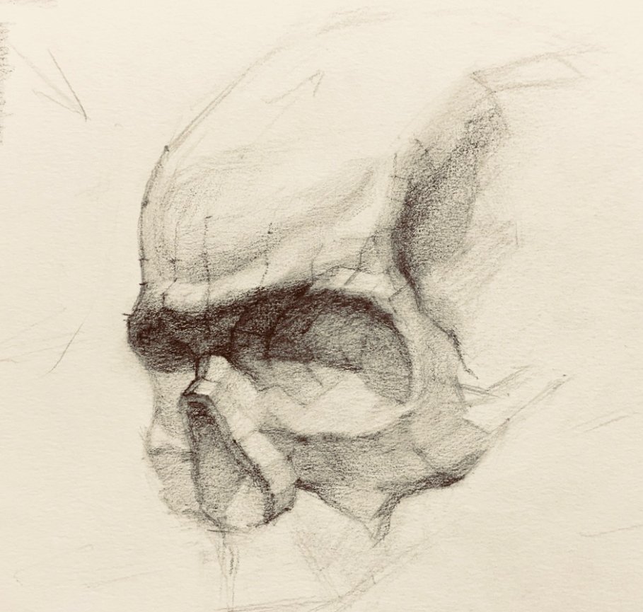anatomydrawing's tweet photo. Find my courses on the Flipped Normals 40% off Summer Sale

https://t.co/gbD147ffBi https://t.co/QDlfG61ZME