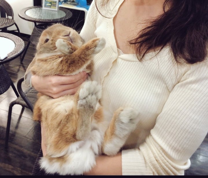 gingersyrupezw1's tweet photo. こんな🙅🏻ってされることある？？？ゴメンて https://t.co/HuQucqBfS7