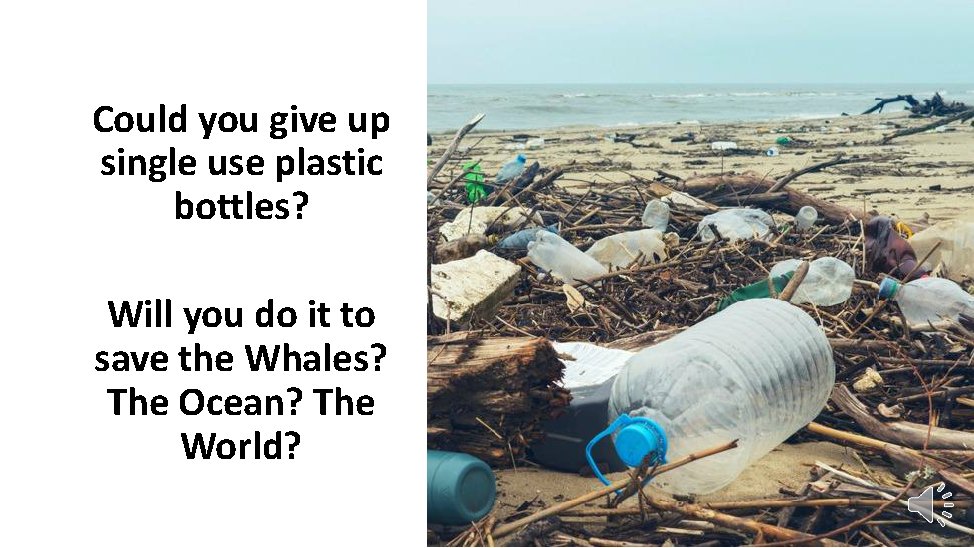 Below is a slideshow on eco-awareness, which has been shown to students during their tutor time. Part two