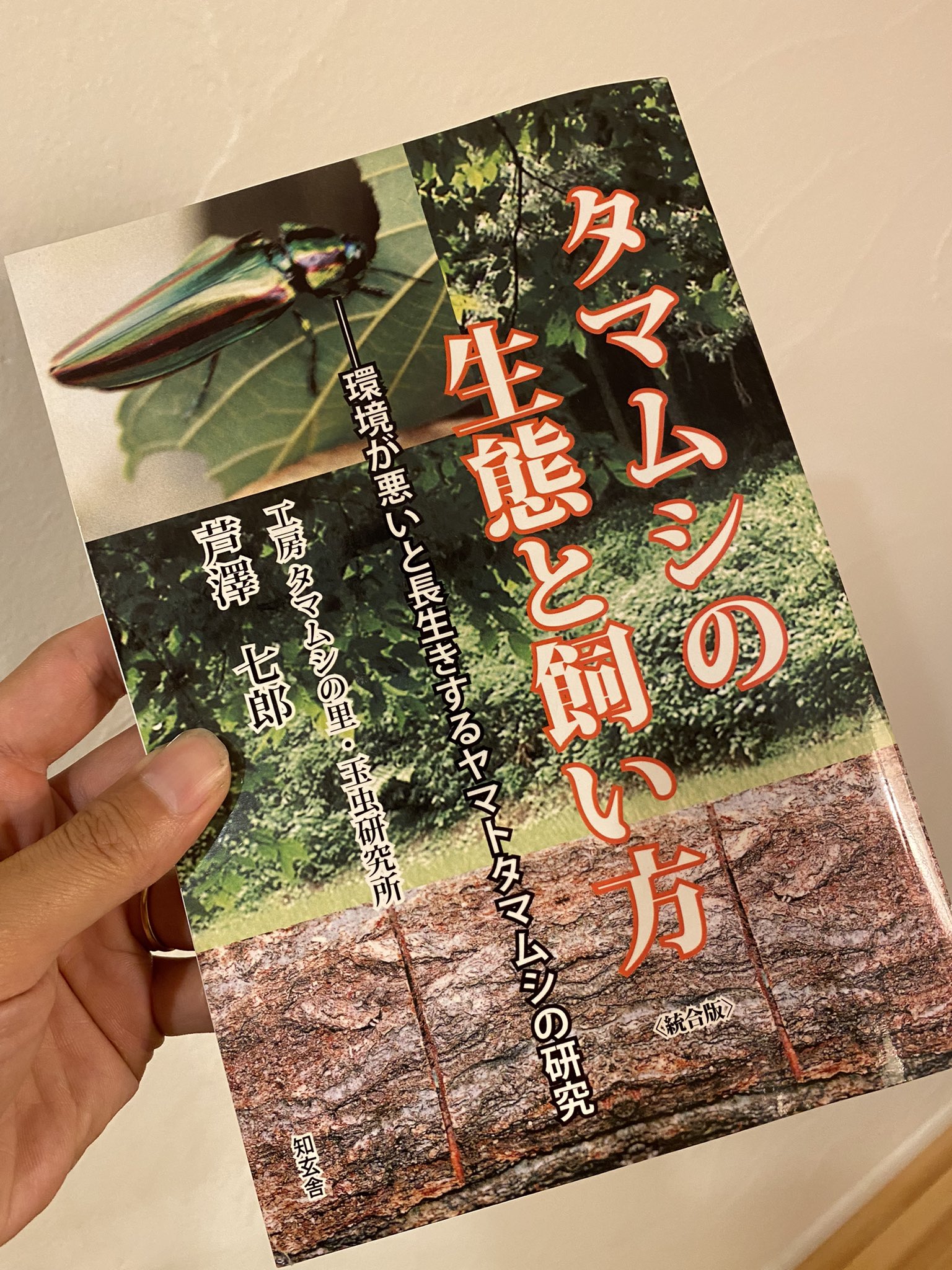 眼遊 Ganyu タマムシ飼育はこの本で勉強しました 温度はこうすべし という教科書的な内容ではなく タマムシ に惚れ込んだ著者が失敗を繰り返しながら飼育法を開発していく読物なので面白いです 最初タマムシを集めるために町内の有線放送で１匹5000円で