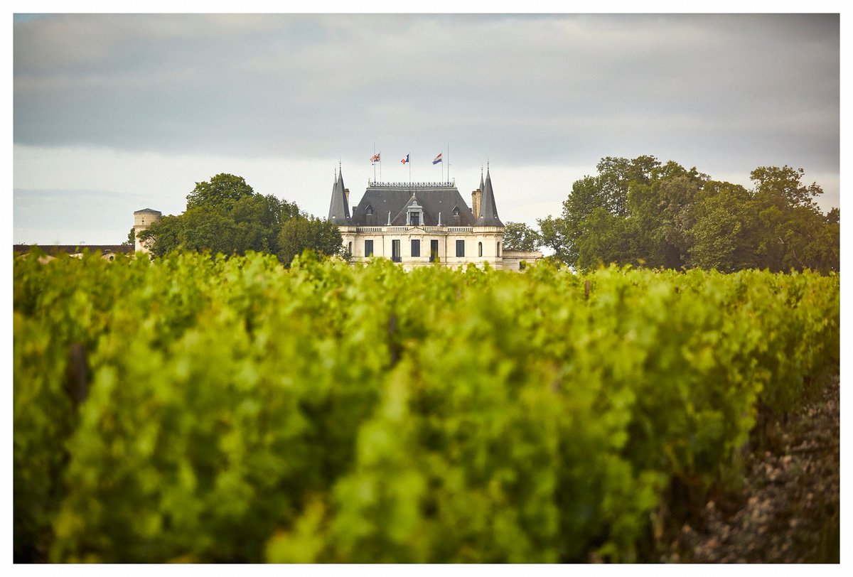 Patriwine's tweet photo. #NOUVEAUPRIMEUR2020

🍷 Château Palmer 2020
Margaux - 3ème Grand Cru Classé
🍇  48% Cabernet Sauvignon, 48% Merlot et 4% Petit Verdot.
👍  Jean-Marc Quarin : 98/100

https://t.co/7jCRIO4NZl

↪️  https://t.co/Fjy2x5hckX
☎️  05 57 29 20 20

📷  Château Palmer https://t.co/fWYXsz1QNt