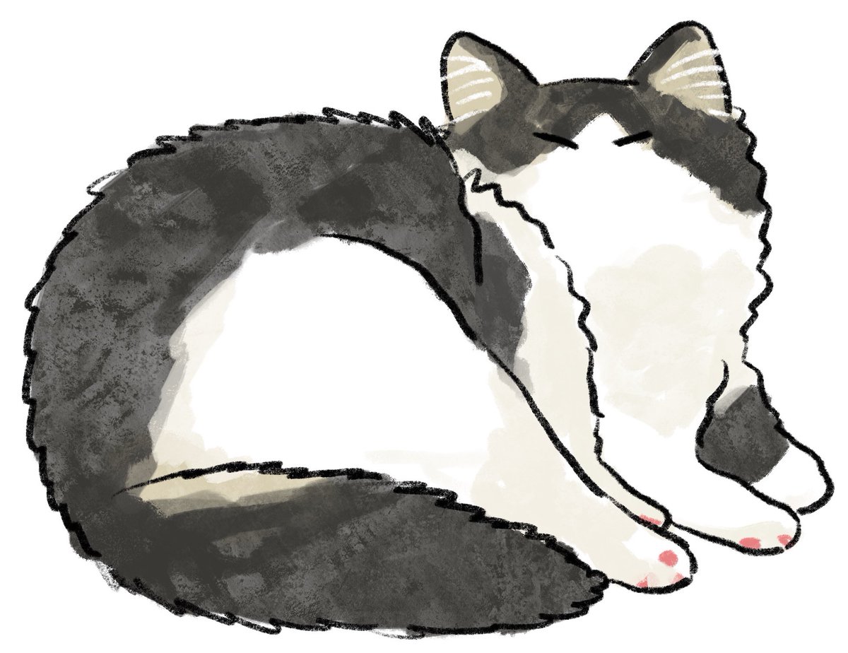 「ズー 」|秀🐈猫コミックエッセイ発売中のイラスト