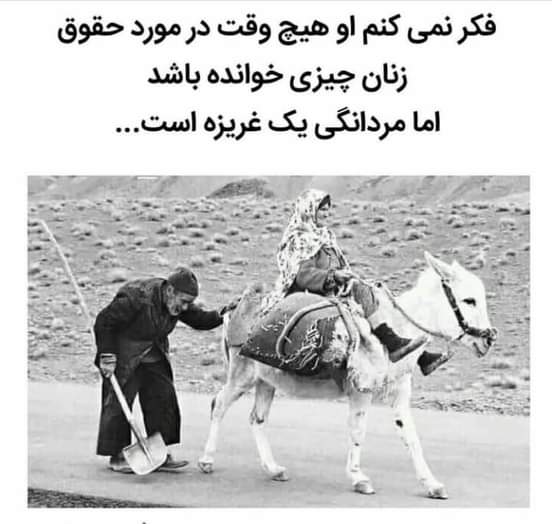 در مورد حقوق زنان چیزی نخوانده
اما مردانگی یک غریزه است