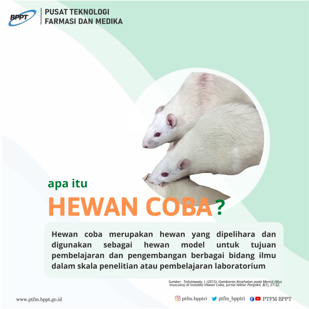 ptfm_brin's tweet image. Hai Farmazen!
Hewan coba merupakan salah satu penunjang penting dalam penelitian-penelitian in vivo.
Kalian pasti sering mendengar mengenai hewan coba. Yuk kita simak infografis berikut.
Salam sehat, semangat, inovatif.

#hewancoba #animalmodelling #preclinicaltrial