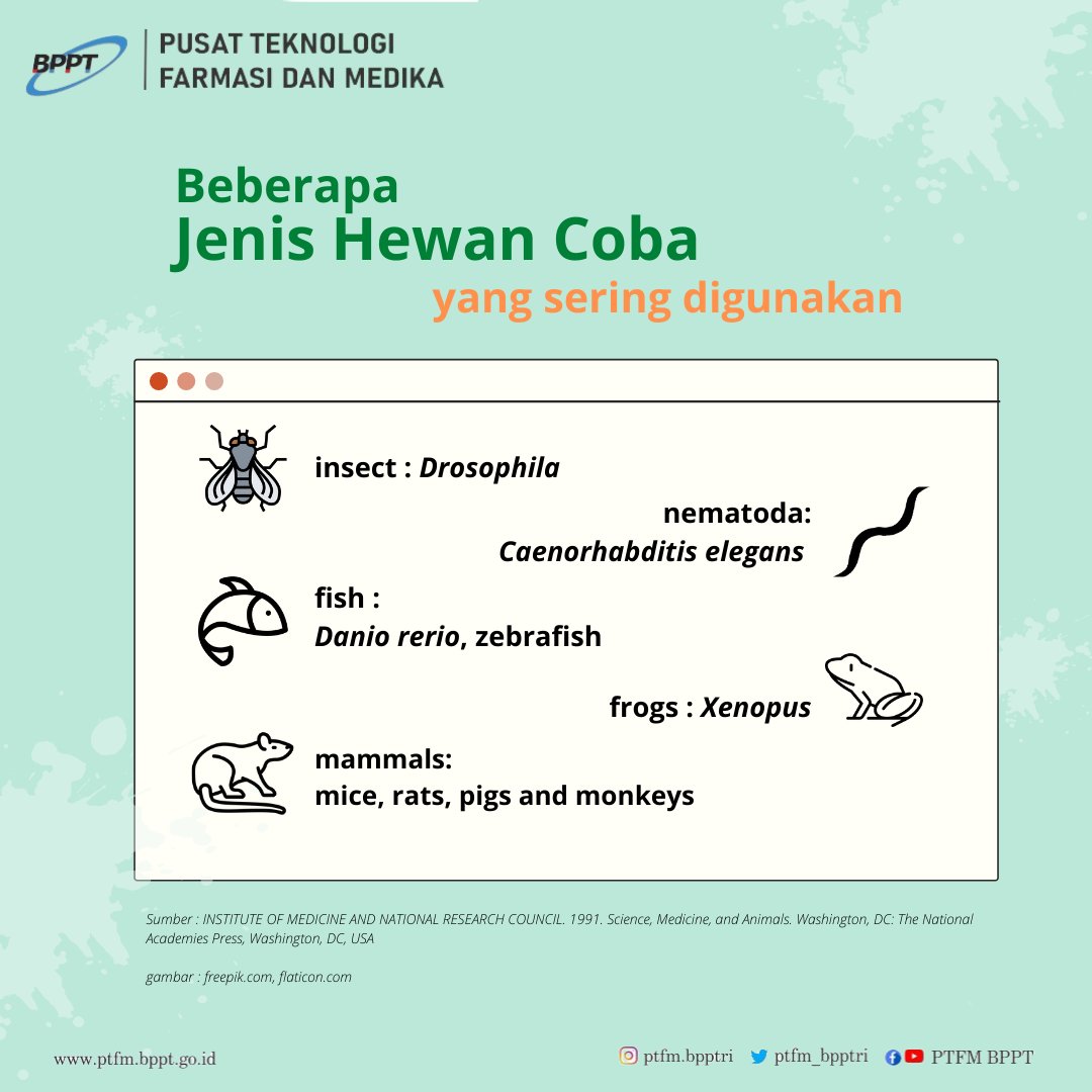 ptfm_brin's tweet image. Hai Farmazen!
Hewan coba merupakan salah satu penunjang penting dalam penelitian-penelitian in vivo.
Kalian pasti sering mendengar mengenai hewan coba. Yuk kita simak infografis berikut.
Salam sehat, semangat, inovatif.

#hewancoba #animalmodelling #preclinicaltrial