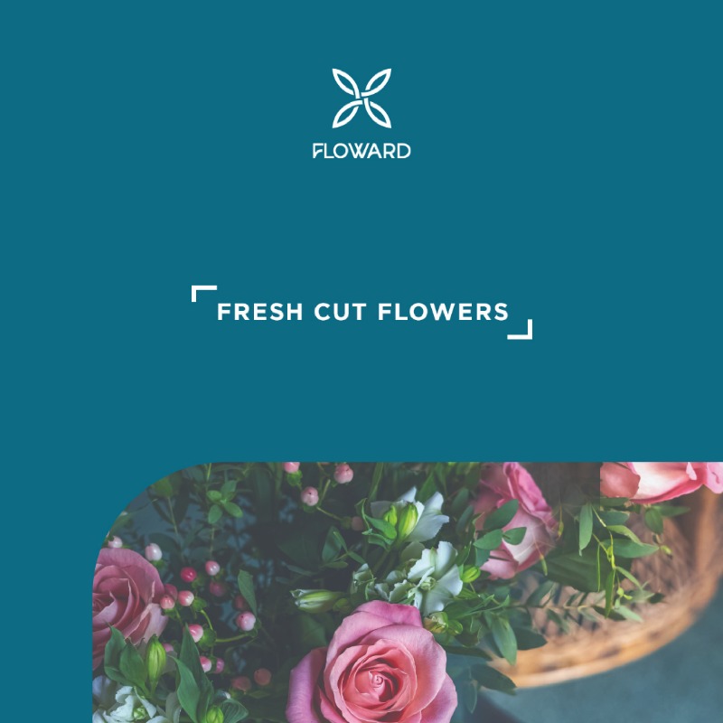 FlowardUK's tweet photo. We're branching out! Nationwide next-day delivery is here. 
🌸 💐 🌼