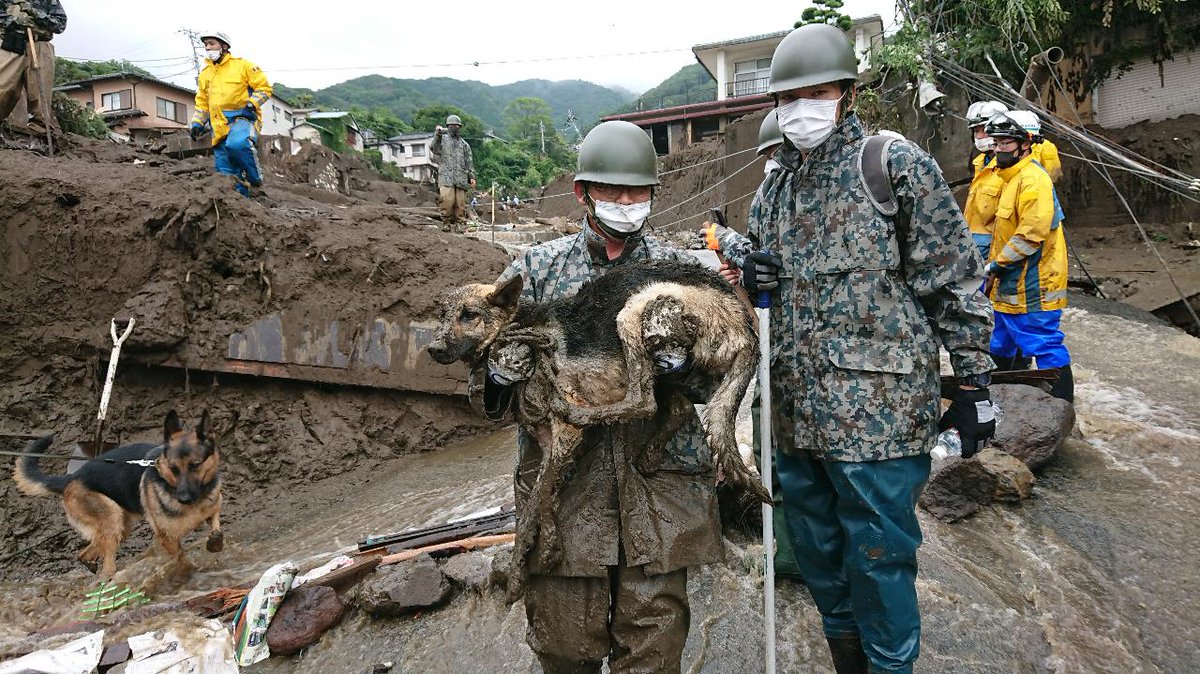 本日の捜索活動終了
#災害救助犬
#浜松基地