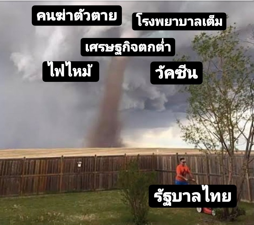 แม่ไก่รักน้องเจี๊ยบ tweet media