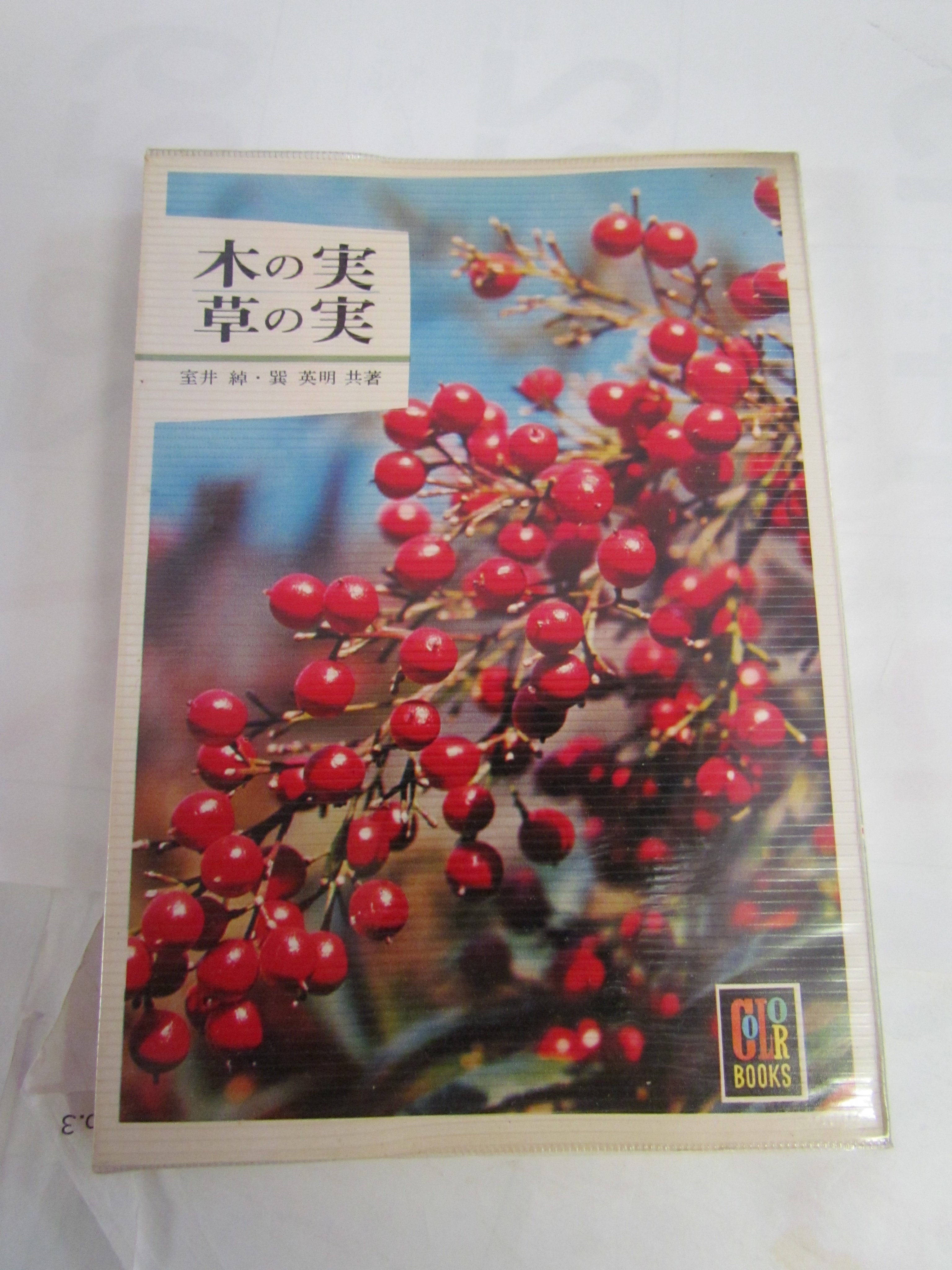木の実草の実 Twitter Search Twitter