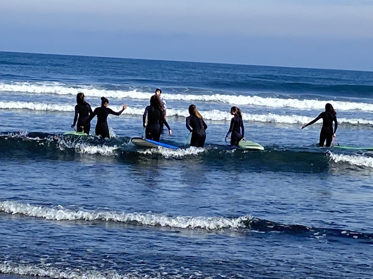 II SURFBASKET CAMP tweet media