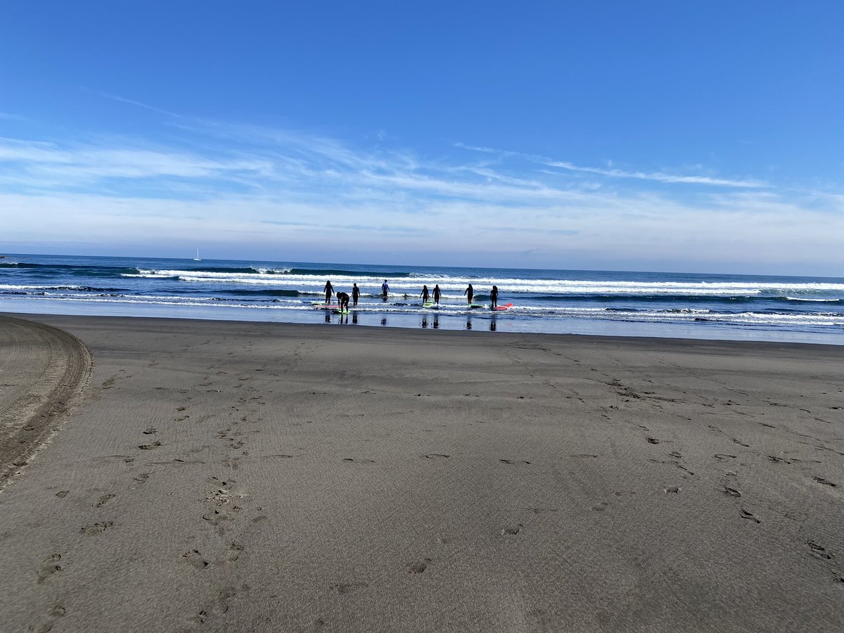 II SURFBASKET CAMP tweet media