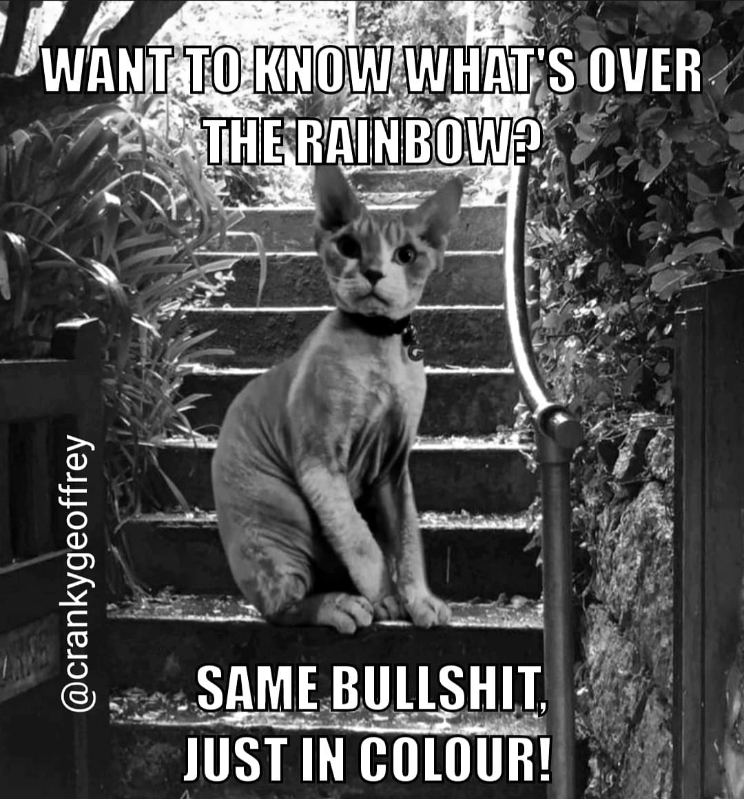 CrankyGeoffrey's tweet photo. Ruining all your Dreams.. 😹
#CatsOfTwitter #CatsOnTwitter #wizardofoz
#overtherainbow #samebs #catmemes #catdaily #instacats #cattitude #truestory #dailysarcasm #dailymeme #dailycat https://t.co/prmRh50fba