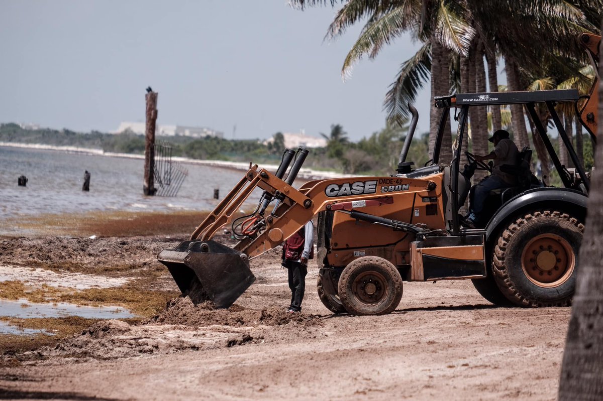 SargaMonitoring's tweet photo. 02/07/2021 #puntanizuc #playacoral #cancun #rivieramaya #mexico
More pictures & exact location on our 2021 map on our website: https://t.co/wpro2wlTHk
#sargassum #sargasses #sargazo #climatechange #pollution #GlobalWarming #ocean #coastalmonitoring https://t.co/Nh0NDyHZYR