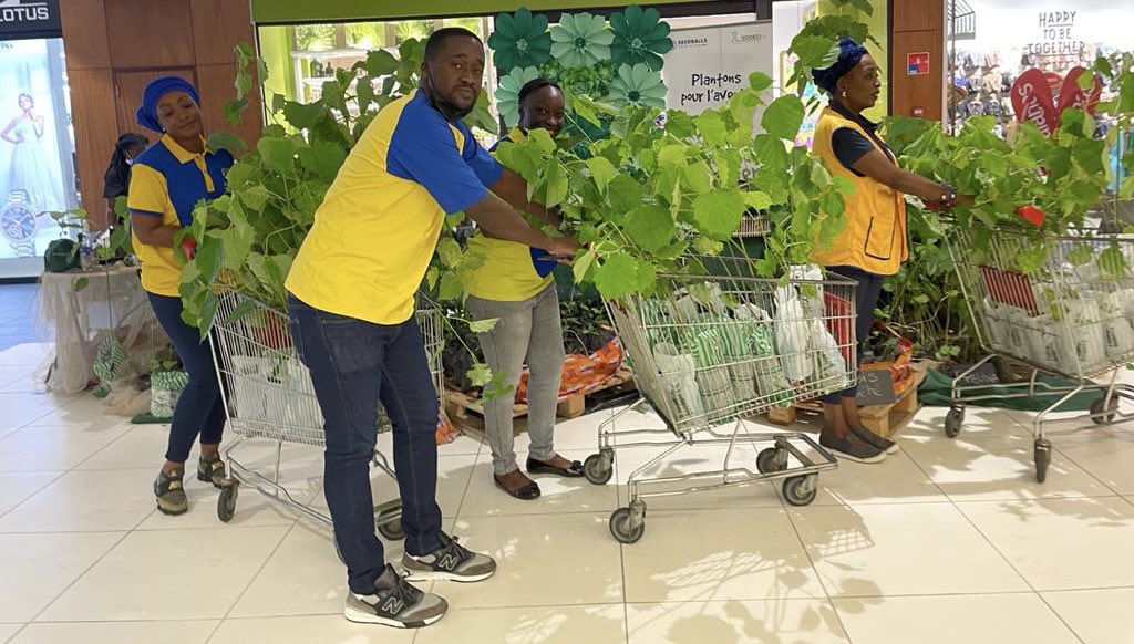 1/2 Week end du Forestier 
Quelle 3ème journée incroyable. 
J’ai reçu la visite du nouveau Gouverneur du District 403 A2 , le Lions Elisabeth Attobra et de la Présidente de la commission environnement et du développement durable du district Dr Linda Kabore 💚💚💚. 
#wdf1