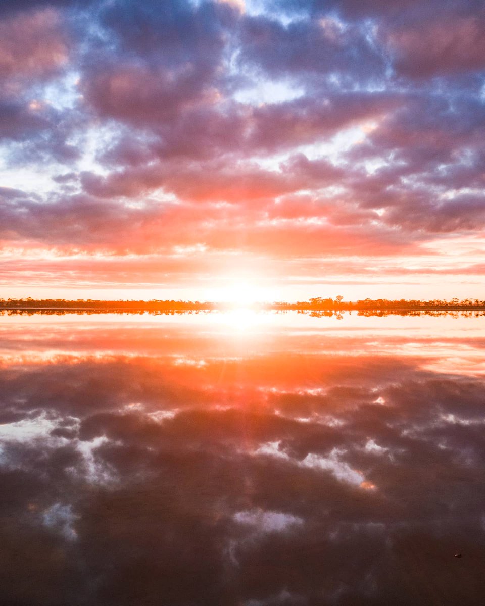 Those cloudy Wheatbelt mornings in #westernaustralia