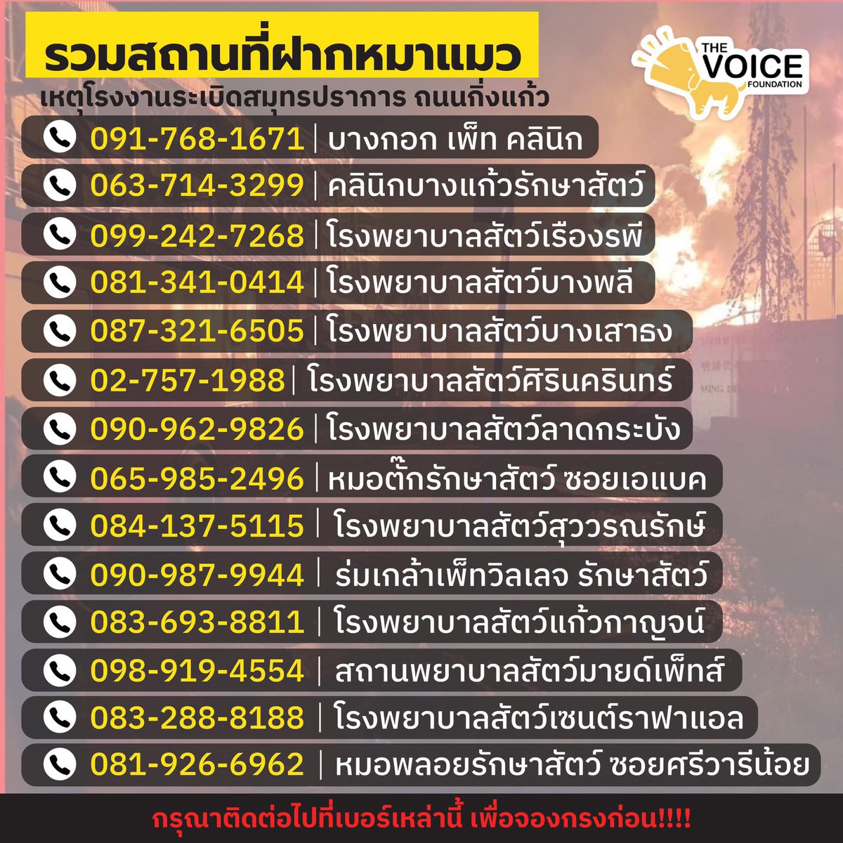 🚨🚨🚨🚨🚨🚨🚨🚨🚨🚨🚨🚨🚨
ฝากอันนี้ด้วยนะค้าบทุกคน ใครเจอน้องๆสามารถติดต่อข้างล่างได้เลย อย่าทิ้งน้องกันเลยนะค้าบทุกคนนนน ช่วยๆกัน
 #โรงงานกิ่งแก้วไฟไหม้