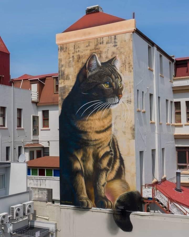 KingBabaBoo's tweet photo. Look at diz bootifulleztezt mural in New Zealand.! Zeeen on da FB. #CatsOfTwitter https://t.co/tUttQ7xbRh