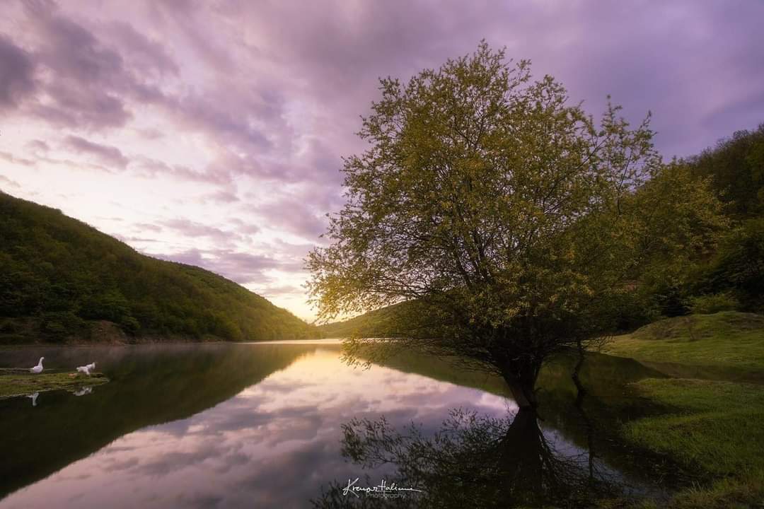 arifishqiprim's tweet photo. Have a great week ❤
#visitPresevo
📷 @KrenarHalimi https://t.co/RxFlchiaOB