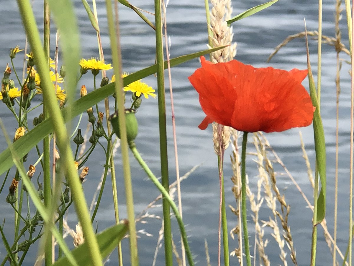 Grazissima's tweet image. Just took a deep breath to deal with this major personal disappointment. And another one is presented today. Wow. Never stop learning. 

#disappointment #howtodealwith  #grateful #lifelonglearning #grazissima #lovehim still