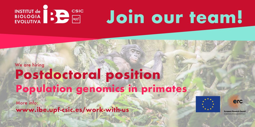Institute of Evolutionary Biology (IBE) (@ibe_barcelona) on Twitter photo 📢WE ARE HIRING!! 1 new Postdoc position to join <a href="/MarquesBonetLab/">marques-bonet lab</a> lab 🧬🙈🙉🙊 at
<a href="/IBE_Barcelona/">Institute of Evolutionary Biology (IBE)</a> led by <a href="/tmarquesbonet/">Tomas Marques-Bonet</a>. Starting before fall 2021. Check out and #joinourteam!
ibe.upf-csic.es/work-with-us
#IBEjoboffer
#discoveringlife
#unravelingevolution
#preservingbiodiversity 📢WE ARE HIRING!! 1 new Postdoc position to join <a href="/MarquesBonetLab/">marques-bonet lab</a> lab 🧬🙈🙉🙊 at
<a href="/IBE_Barcelona/">Institute of Evolutionary Biology (IBE)</a> led by <a href="/tmarquesbonet/">Tomas Marques-Bonet</a>. Starting before fall 2021. Check out and #joinourteam!
ibe.upf-csic.es/work-with-us
#IBEjoboffer
#discoveringlife
#unravelingevolution
#preservingbiodiversity