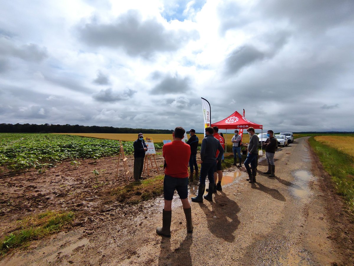 NicolasLatraye's tweet photo. Aujourd'hui, échange sur le tournesol 🌻 avec des agriculteurs et présenté par @Limagrain et @terresinovia sous un joli ☀️ (coup de chance). Des échanges constructifs avec au programme : oiseaux, implantation, écartement, etc. https://t.co/6EzM6hSKUz