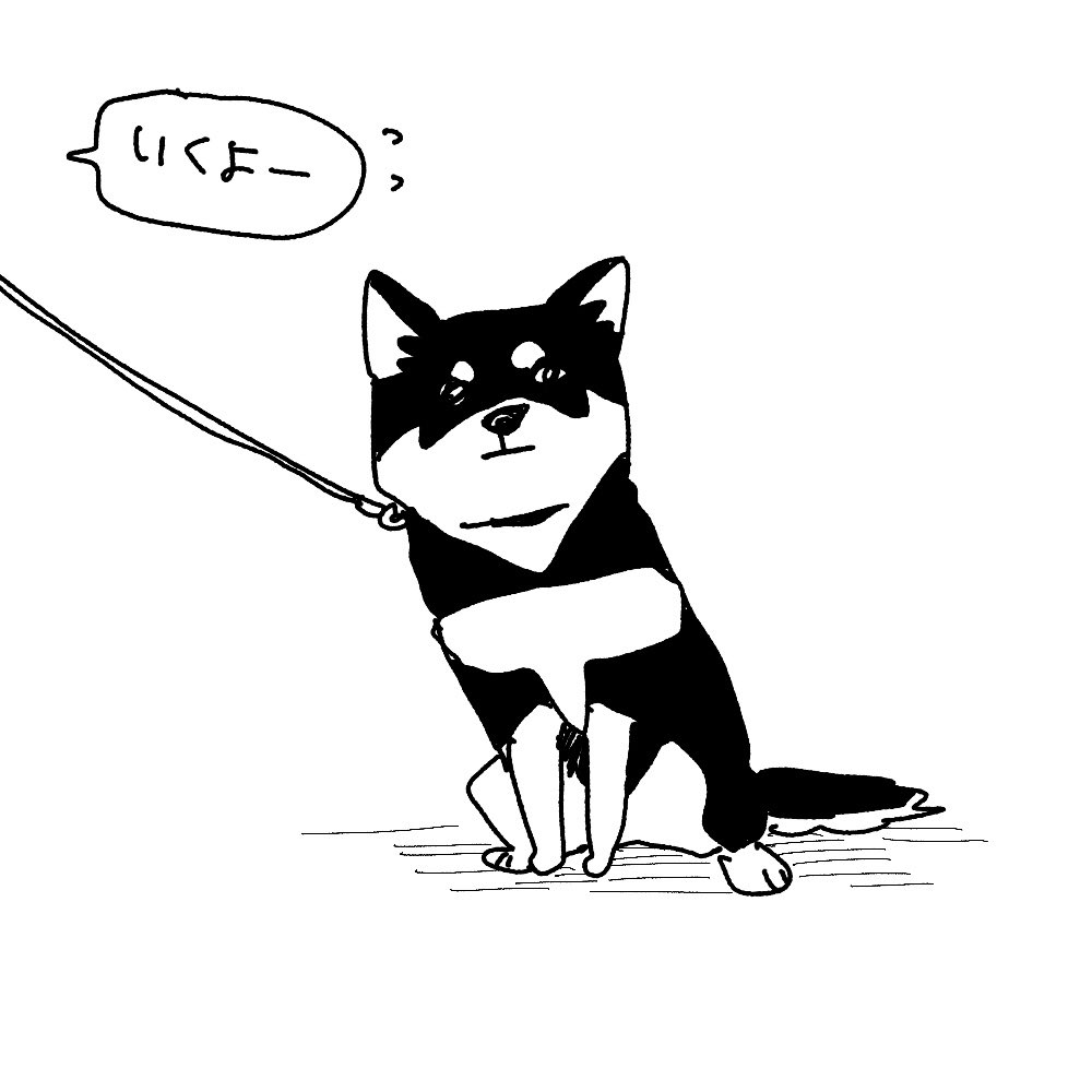 道で座り込んで動かなくなった若い黒柴犬かわいすぎて横を往復してしまった 