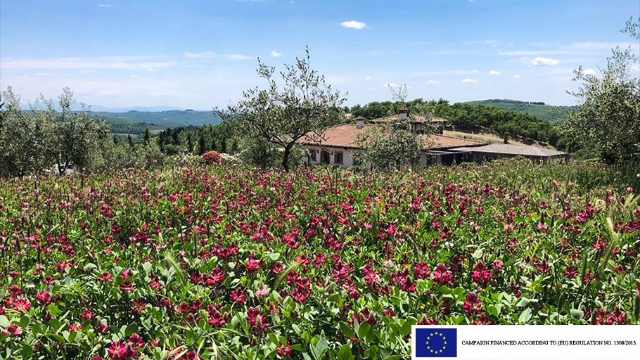 FrescobaldiVini's tweet photo. A unique estate in the heart of Chianti Classico: explore Tenuta Perano and its wines.#OsteriaPerano #TenutaPerano #Frescobaldi #FrescobaldiVini #ToscanaDiversity #ChiantiClassico #Perano #WineLover #Tuscany #TuscanyWine #Wine #WineTasting #WineLovers #WineTime #Tuscany https://t.co/nuxVKb08Vv