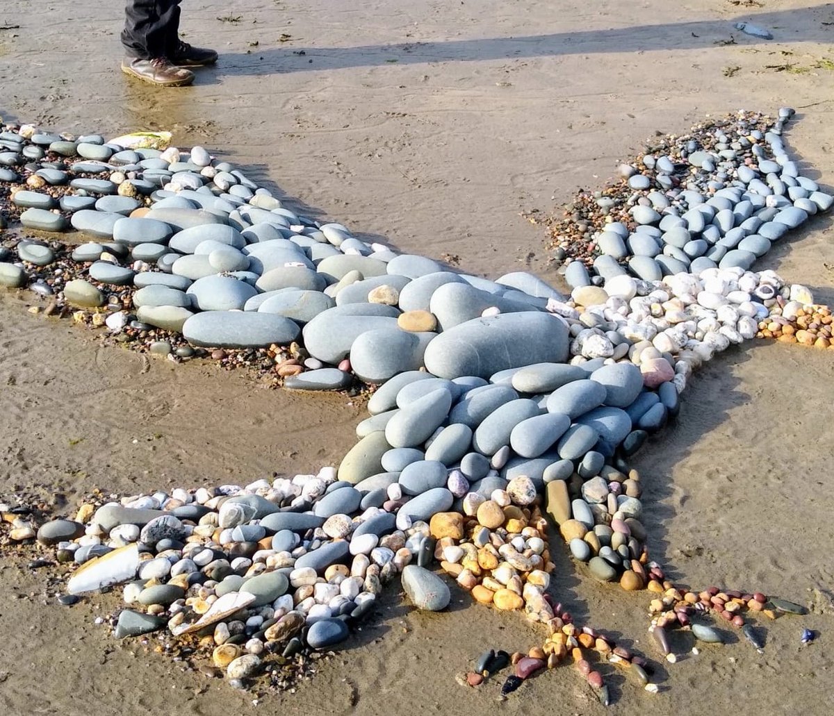 Friend sent me this, found on a beach in Devon at the tideline. I'm in awe....