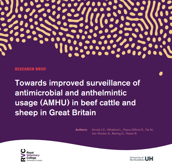 beef_sheep's tweet photo. Research brief available on antimicrobial and anthelmintic use (AMHU) surveillance in beef and sheep in Britain – a thread

Brief: https://t.co/yRqDXU4qYr
Full report: https://t.co/lFM6aJuDxr

1/n https://t.co/jVuU2PRKAH