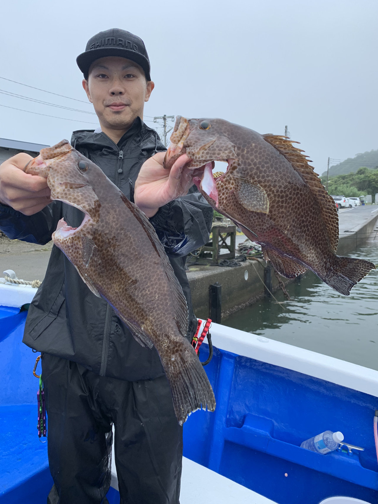 釣り船予約サイト 釣割 関東のロックフィッシュ船といえば この船です 赤沼丸 千葉県館山市洲崎栄ノ浦港 T Co 4tb0gle473 関東では希少なオオモンハタも釣れますよ 赤沼丸 ロックフィッシュ アカハタ オオモンハタ T Co