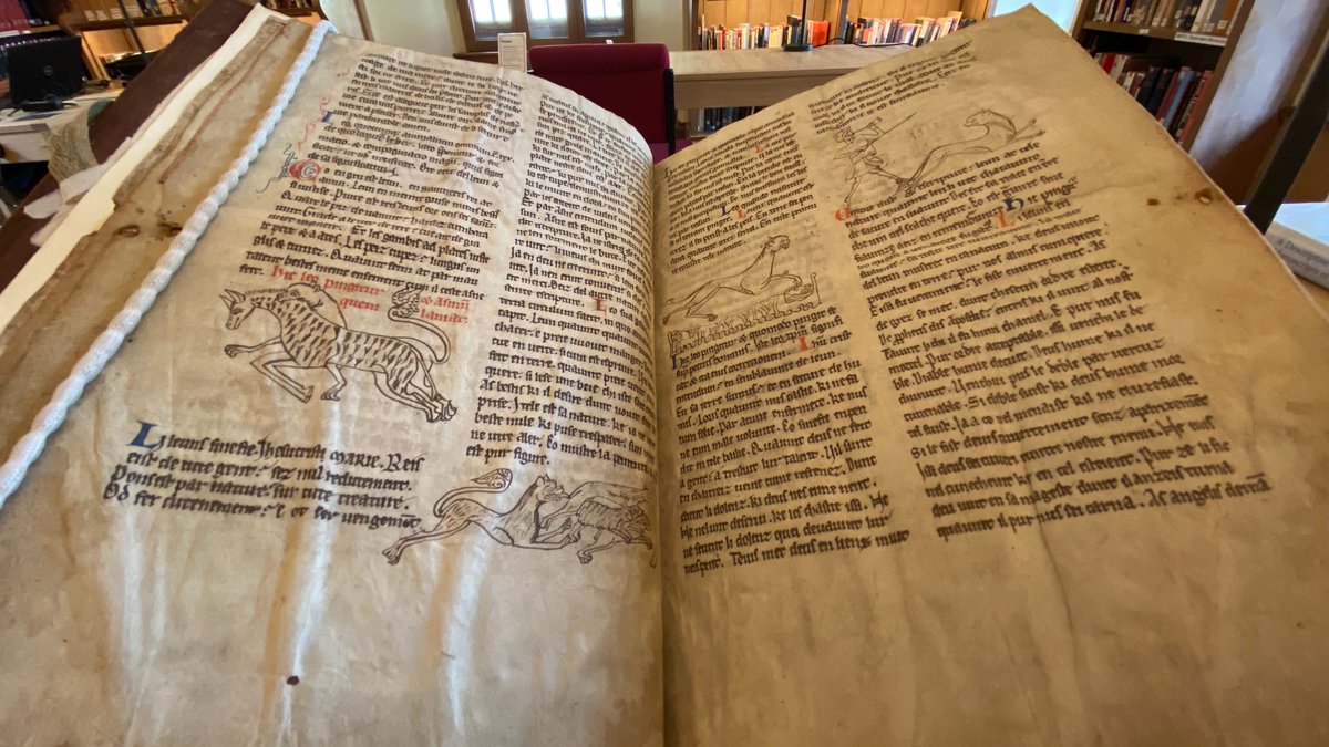 MertonBeasts's tweet photo. On Thursday I finally managed to see the #LockdownBestiary manuscript in person – thank you to @JuliaWalworth for making it possible!
Incipit ‘Things I missed in the digital facsimile : a thread 🧵’ ft. a #BonusBeast not in our original posts! 🦔
#MedievalTwitter #IMC2021
1/20 https://t.co/FTNrnrD3mx