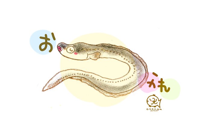あなごのtwitterイラスト検索結果