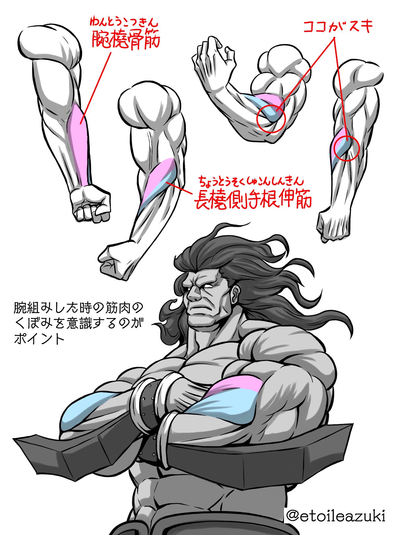 かまた 筋肉専門イラストレーター マッチョ描きのつぶやき 前腕の好きな筋肉 腕撓骨筋 わんとうこつきん と長橈側手根伸筋 ちょうとうそくしゅこんしんきん この筋肉が肘あたりのかっこいい窪みを作ってる 腕組んだ時のこの窪みが超カッコいい