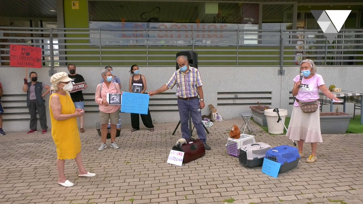 CanalVicus's tweet photo. Concentración #rescatevivotecnia en #TresCantos, organizada por @felinos3c, para reclamar la liberación de los animales encerrados en la empresa Vivotecnia, denunciada por maltrato animal extremo ⏯️ https://t.co/n4bibq4bQ4 https://t.co/GTyzQ64ePy