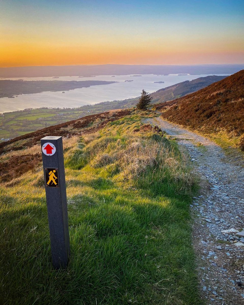 Lace up your hiking boots and come climb the Arra Mountains with us – the views over #LoughDerg are well worth it! 😍 See 9 Scenic Walks to go on this summer: bit.ly/3yioGsc #KeepDiscovering #LeaveNoTrace 📸 amanda__flannery [IG]