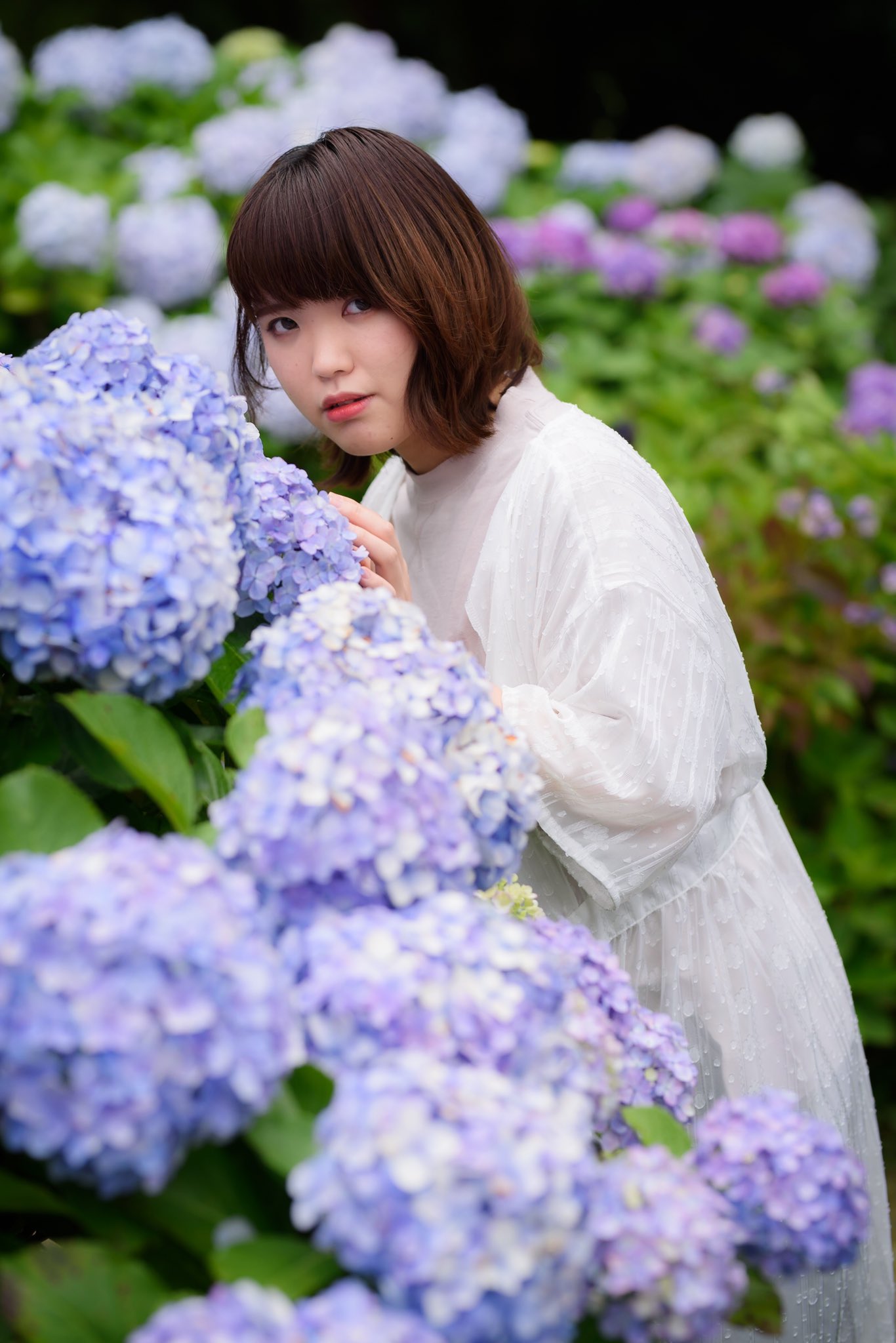 はむ さんどぉ お久しぶりのありちゃん A Ri061 と紫陽花ポトレ 知らないうちにご結婚 されててびっくり おめでとうございます ポートレート Portrait 紫陽花 あじさい 鹿児島 被写体募集 モデル募集 ファインダー越しの私の世界
