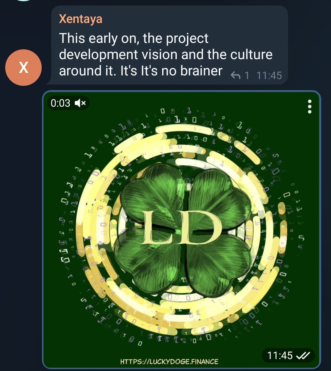 SleggDan's tweet photo. The community has spoken

#ldoge #luckydoge @LDOGEofficial #feg #shib #bnb #eth #koji #Crypto https://t.co/OitnvMbgRC
