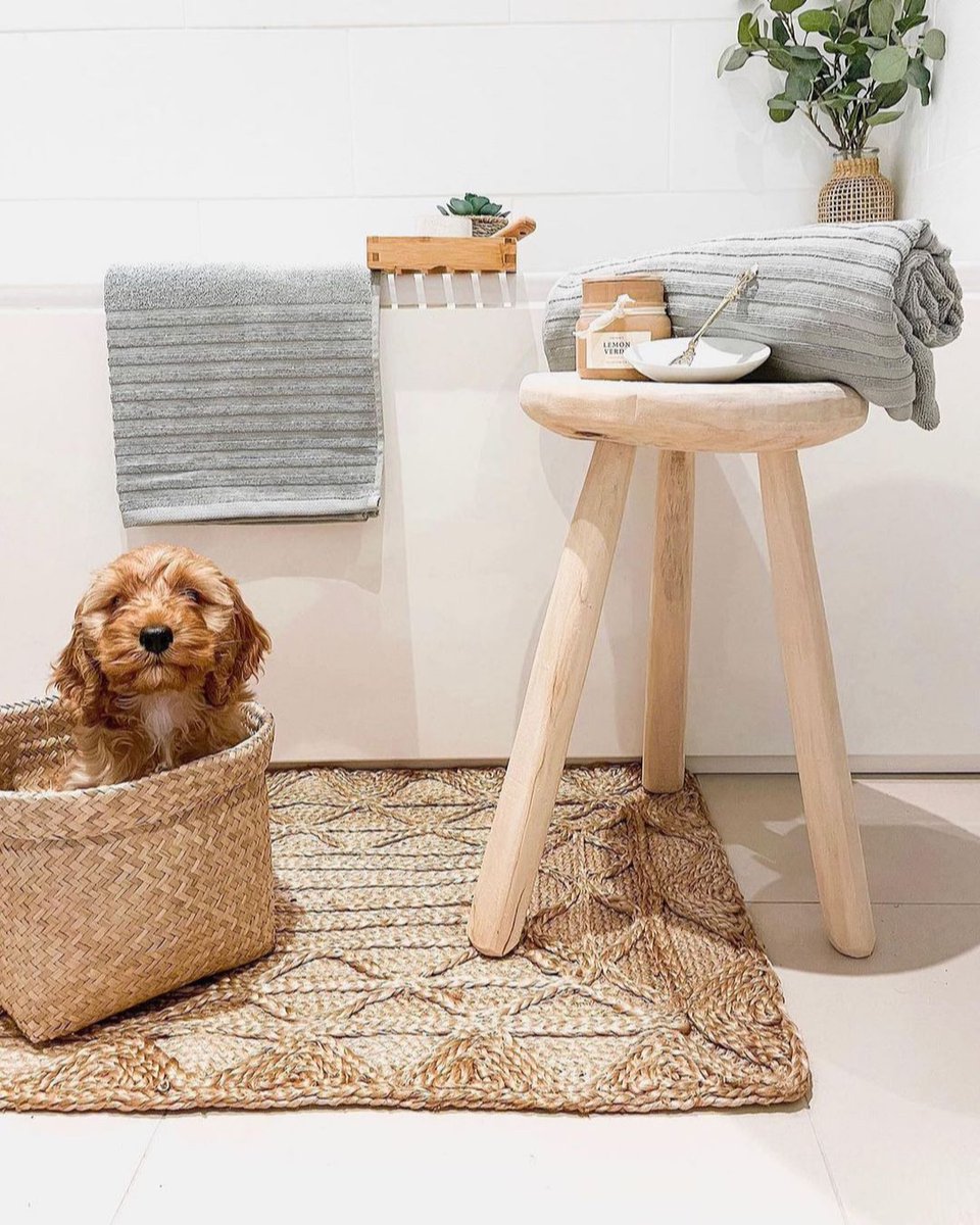 Someone’s hiding from her bath! 🐶💕 

<a href="/hmhome/">HudsonMadison</a>
.
.
.
.
.
#FashionDrive 
#HMHOME 
#decoration 
#interior 
#inspo 
#livingroom 
#interiorinspo 
#desgin 
#fornitue 
#home