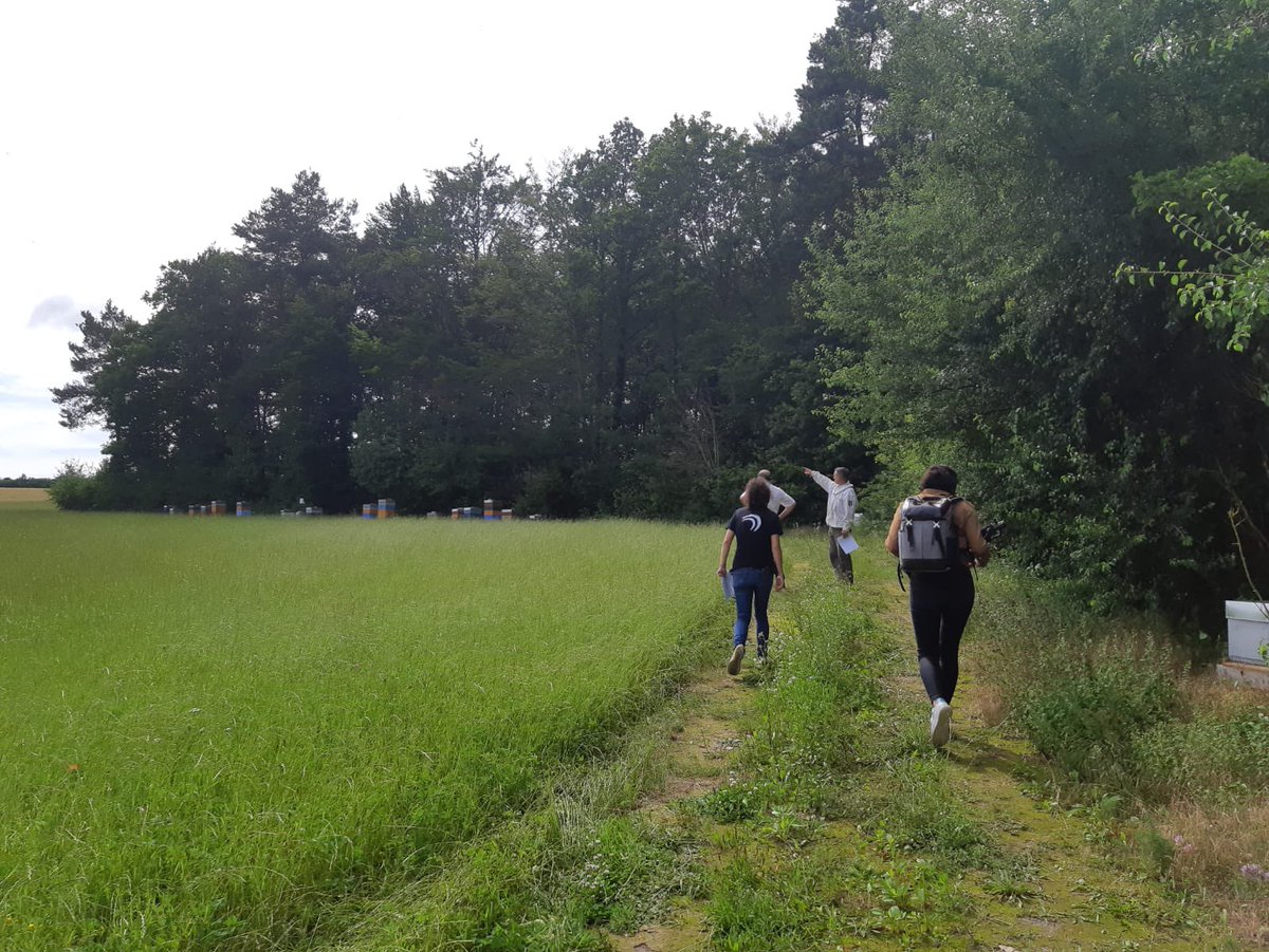 Cet après-midi, tournage chez Benoit, apiculteur de la coop <a href="/110Bourgogne/">110 Bourgogne</a> et membre du réseau #ApiTech 🐝pour montrer l’intérêt commun des jachères fleuries pour l’#agriculture et l’#apiculture 🌻🌺 👉 vidéo à découvrir bientôt sur : cutt.ly/BmxqDcp