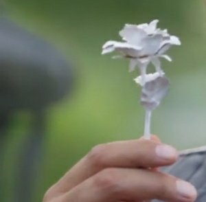 Manjotkaur_001's tweet photo. He gave her the golden rose signifying his hidden compassion behind his harsh words.
She gave him the white rose celebrating the newly found peace and serenity in their lives ♡
ICONIC ERA OF IMMJ II 
#IshqMeinMarjawan2 #Riansh https://t.co/jEdCrgXFOF