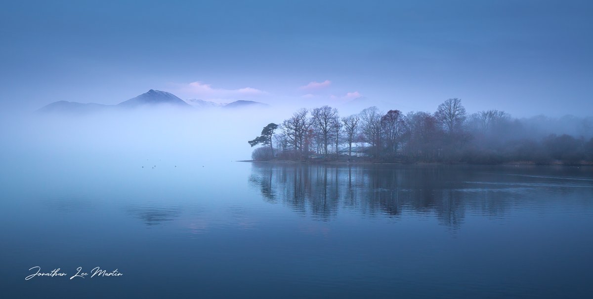 Jonathan Lee Martin tweet media