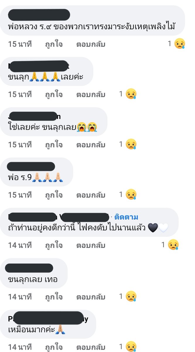 мωล์ tweet media
