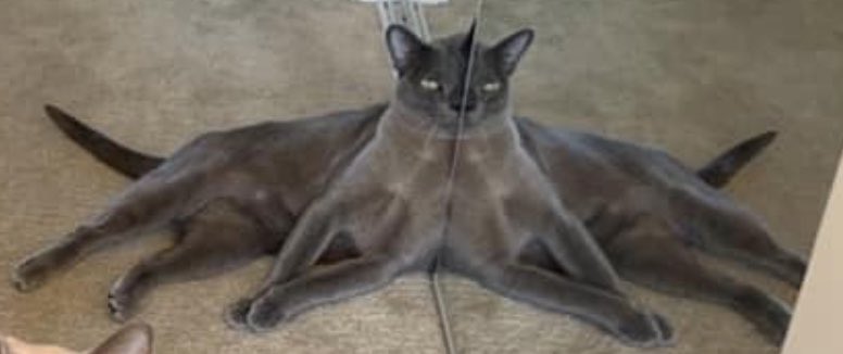 Lou L0u4nn Twitter Lou L0u4nn Twitter