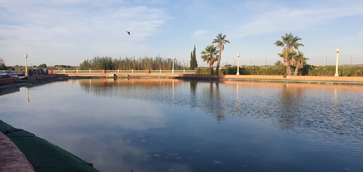 Congusto4's tweet photo. Ayer asistimos a la inauguración de 
"Eventos Venecia by Patricia Sanz", un proyecto hecho realidad por nuestra amiga @patrisanzchef 
Le deseamos mucha suerte. https://t.co/89fiPfwifc