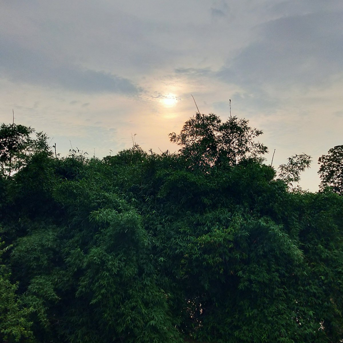 Shietzobi's tweet photo. #jhopeSunset10000
•India🇮🇳 
•July 5th
•5:26pm

#jhope we love you🌻💕Our sun ☀️ #ARMYglobalgathering @BTS_twt @armysunsets https://t.co/fro5OE5E9U