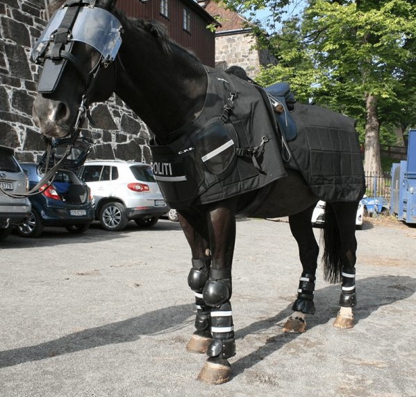 けるちゃ على تويتر 騎馬警官の馬たちが装備する現代の馬鎧ってのもなかなか 中世の騎士たちの軍馬が装備した馬鎧を彷彿とさせるものがありますなぁ 見ていて脳にいい けるちゃ على تويتر 騎馬警官の馬たちが装備する現代の馬鎧ってのもなかなか 中世の騎士たちの軍馬が装備した馬鎧を彷彿とさせるものがありますなぁ 見ていて脳にいい