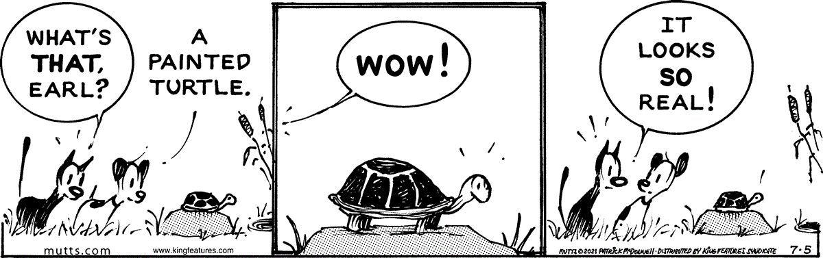 doc_nad's tweet photo. • • • THE DAILY MUTTS • • • Monday, July 5, 2021 • • •
#MuttsComic #PatrickMcDonnell https://t.co/ua11v7vYSl