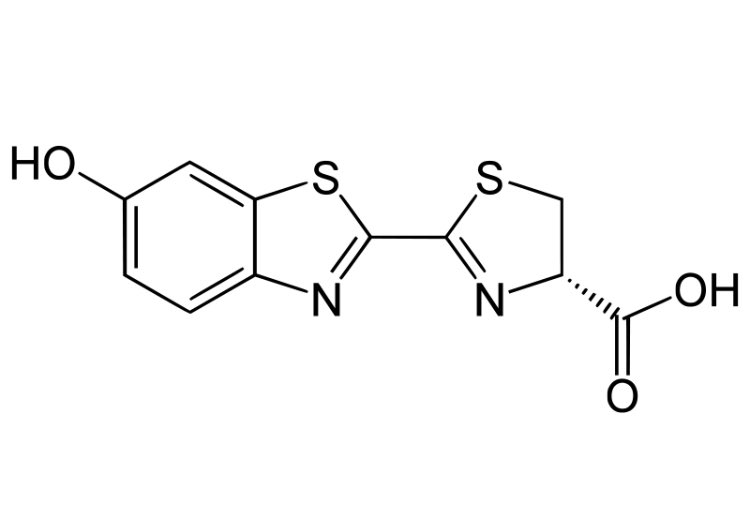 The Molecule of the Week is firefly luciferin! This molecule causes bioluminescence in fireflies, which gives them their characteristic light. Different colors can be produced by varying the pH or the primary structure of luciferase with the exact same luciferin molecule.